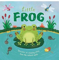 Cover image for Little Frog
