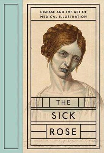 Cover image for The Sick Rose: Disease and the Art of Medical Illustration