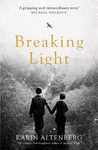 Cover image for Breaking Light