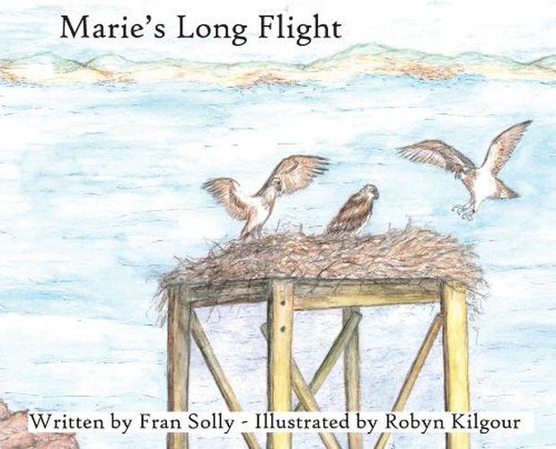 Cover image for Marie's Long Flight