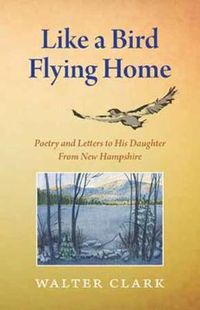 Cover image for Like a Bird Flying Home