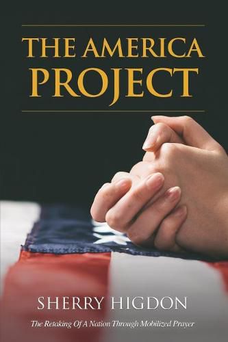 Cover image for The America Project