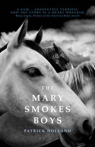 Cover image for The Mary Smokes Boys