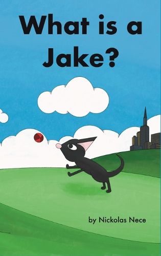 Cover image for What is a Jake?