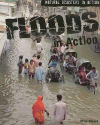 Cover image for Floods in Action