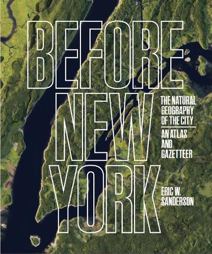 Cover image for Before New York