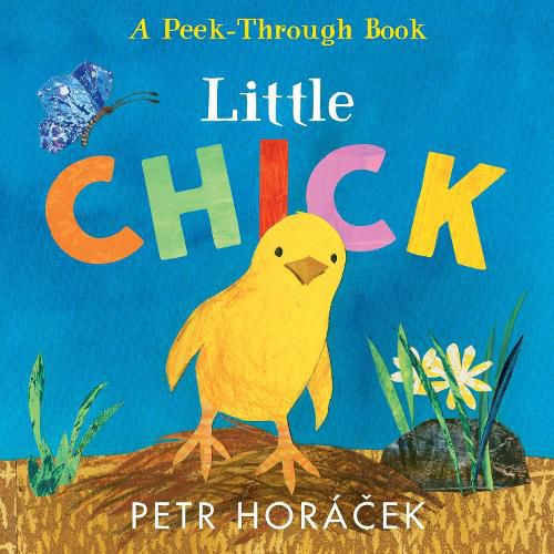 Cover image for Little Chick