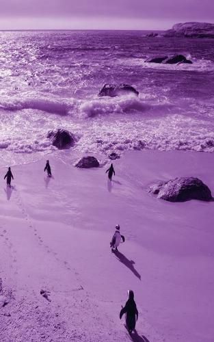 Cover image for Alive! little penguin friends - Violet duotone - Photo Art Notebooks (5 x 8 series)