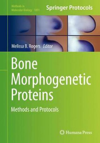 Bone Morphogenetic Proteins: Methods and Protocols