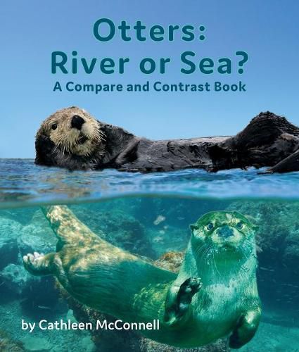 Cover image for Otters: River or Sea? a Compare and Contrast Book