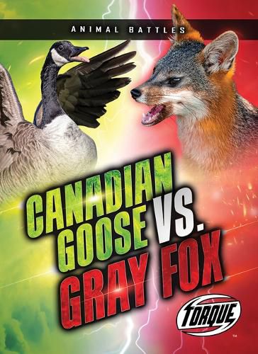 Cover image for Canada Goose vs. Gray Fox