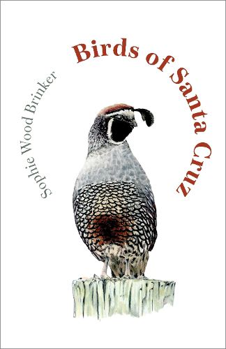 Cover image for Birds of Santa Cruz