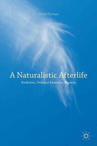 Cover image for A Naturalistic Afterlife: Evolution, Ordinary Existence, Eternity