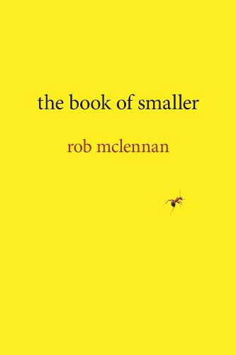 the book of smaller