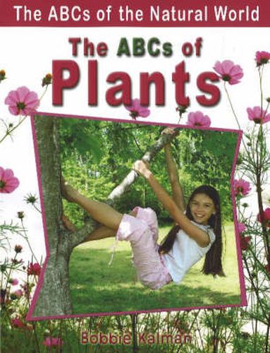 Cover image for The ABCs of Plants