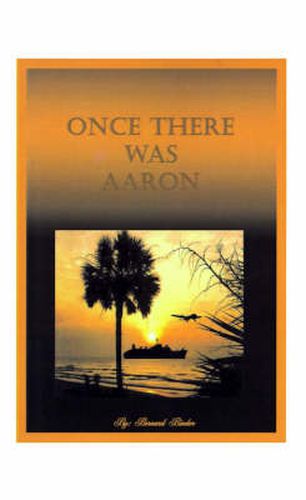 Cover image for Once There Was Aaron