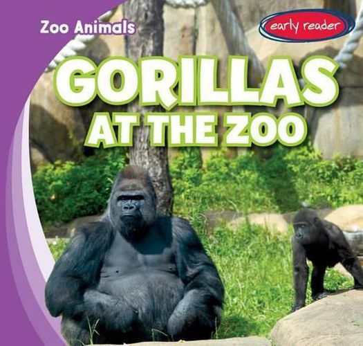 Gorillas at the Zoo