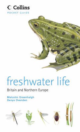 Cover image for Freshwater Life