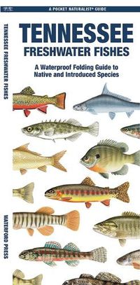 Cover image for Tennessee Freshwater Fishes