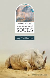 Cover image for Concerning the Future of Souls