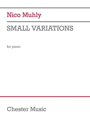 Cover image for Small Variations