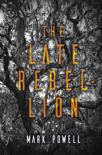 Cover image for The Late Rebellion