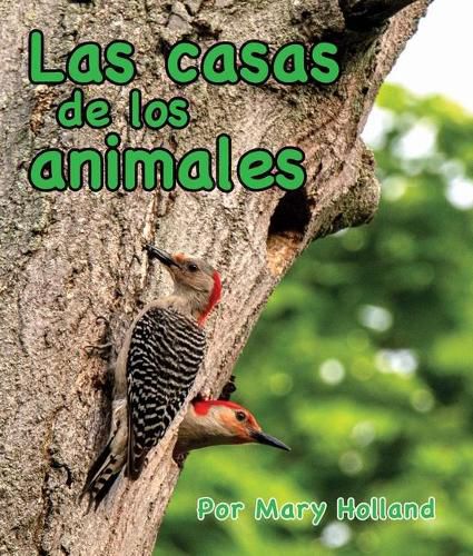 Cover image for Las Casas de Los Animales: (Animal Homes in Spanish)