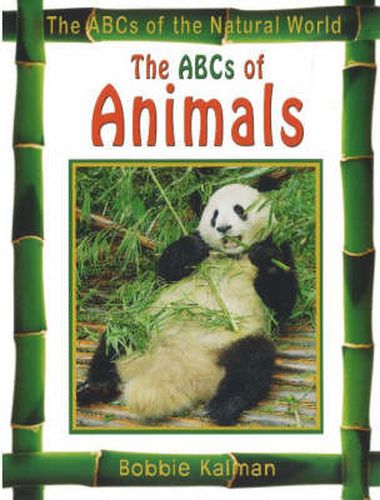 Cover image for The ABCs of Animals