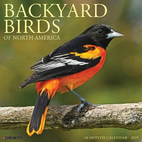 Cover image for Backyard Birds 2026 12 X 12 Wall Calendar