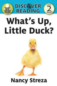 Cover image for What's Up Little Duck