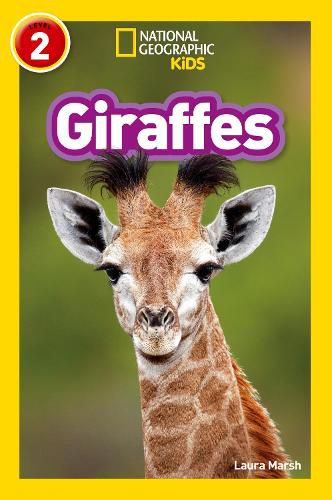 Cover image for Giraffes: Level 2