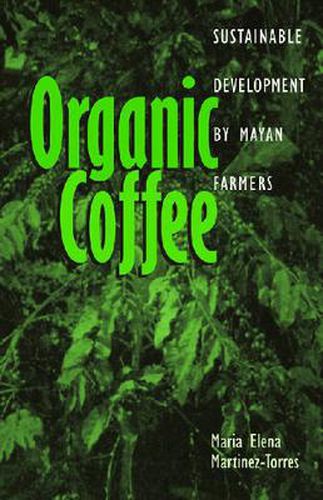 Organic Coffee: Sustainable Development by Mayan Farmers