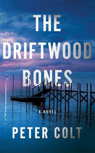Cover image for The Driftwood Bones