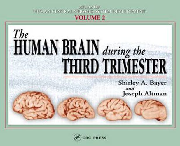 Cover image for The Human Brain During the Third Trimester