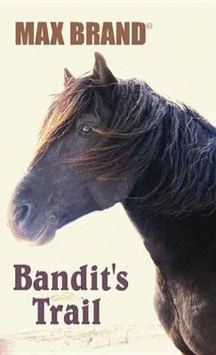 Cover image for Bandit's Trail