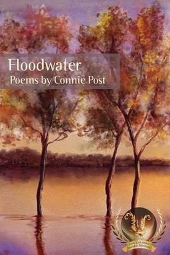 Cover image for Floodwater