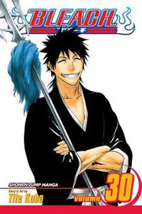 Cover image for Bleach, Vol. 30