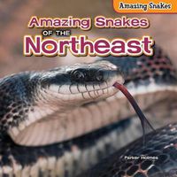 Cover image for Amazing Snakes of the Northeast