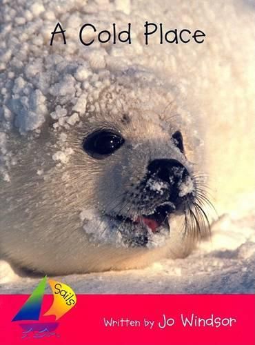 Cover image for Cold Place, A, Satellite: Leveled Reader