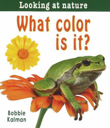 Cover image for What Color Is it