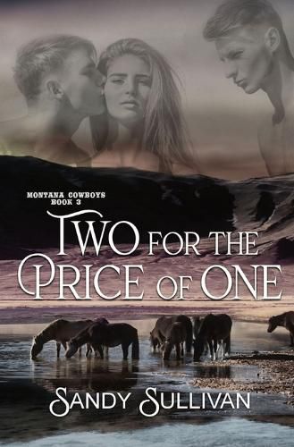 Cover image for Two for the Price of One: Montana Cowboys 3