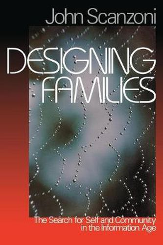 Cover image for Designing Families: The Search for Self and Community in the Information Age