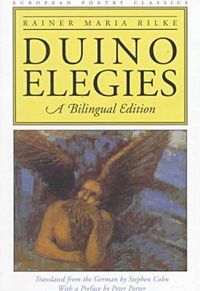 Cover image for Duino Elegies