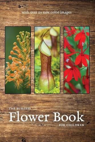 The Burgess Flower Book with new color images