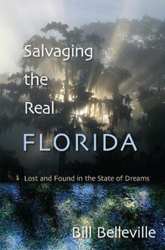 Cover image for Salvaging The Real Florida: Lost and Found in the State of Dreams