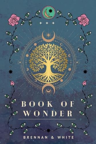 Cover image for Book of Wonder