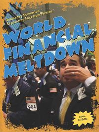 Cover image for World Financial Meltdown