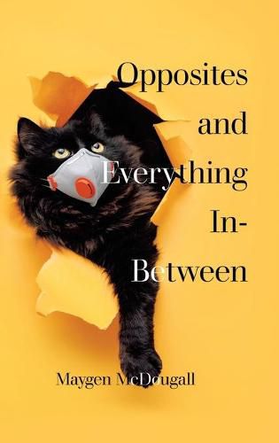 Cover image for Opposites and Everything In-Between