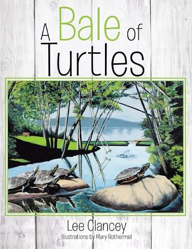 Cover image for A Bale of Turtles