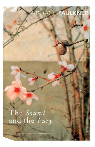 Cover image for The Sound and the Fury